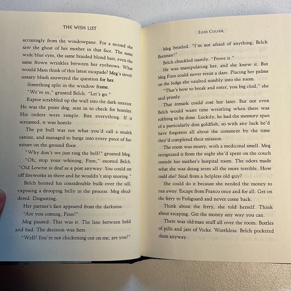 🌈2/$8  The Wish List - Picture 10 of 12